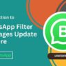 Introduction to WhatsApp Filter Messages Update Feature